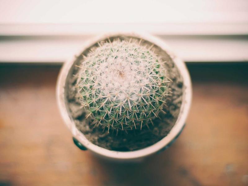 无信用卡换区<br>跳过付款方式修改地区指南